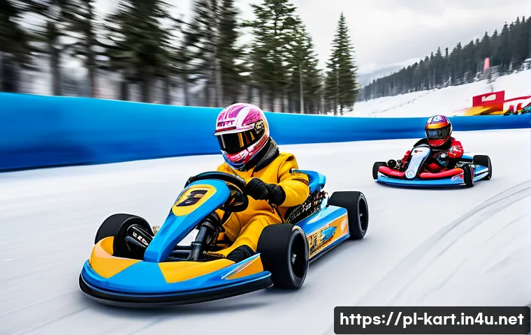 카트라이더 팬아트와 커뮤니티 관련 이미지 2