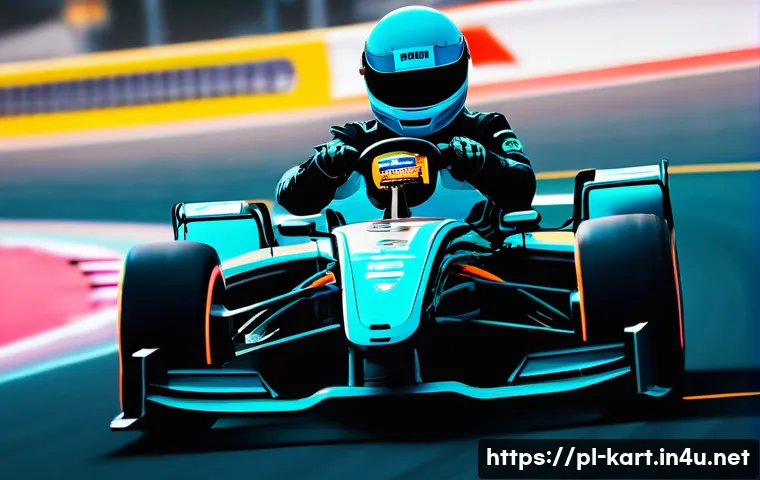 카트라이더 페이 투 윈 논란 분석 관련 이미지 2